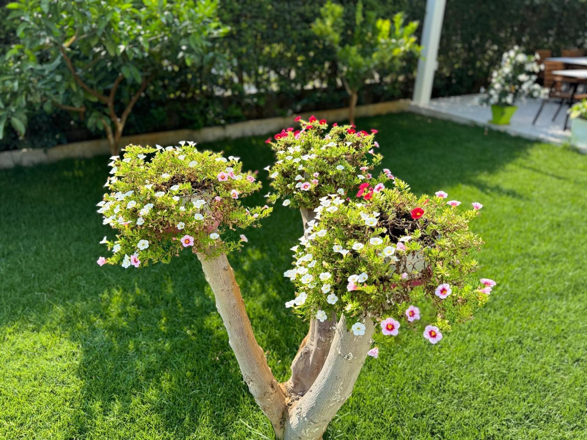 Vlorë Villa Ax Mirage מראה חיצוני תמונה